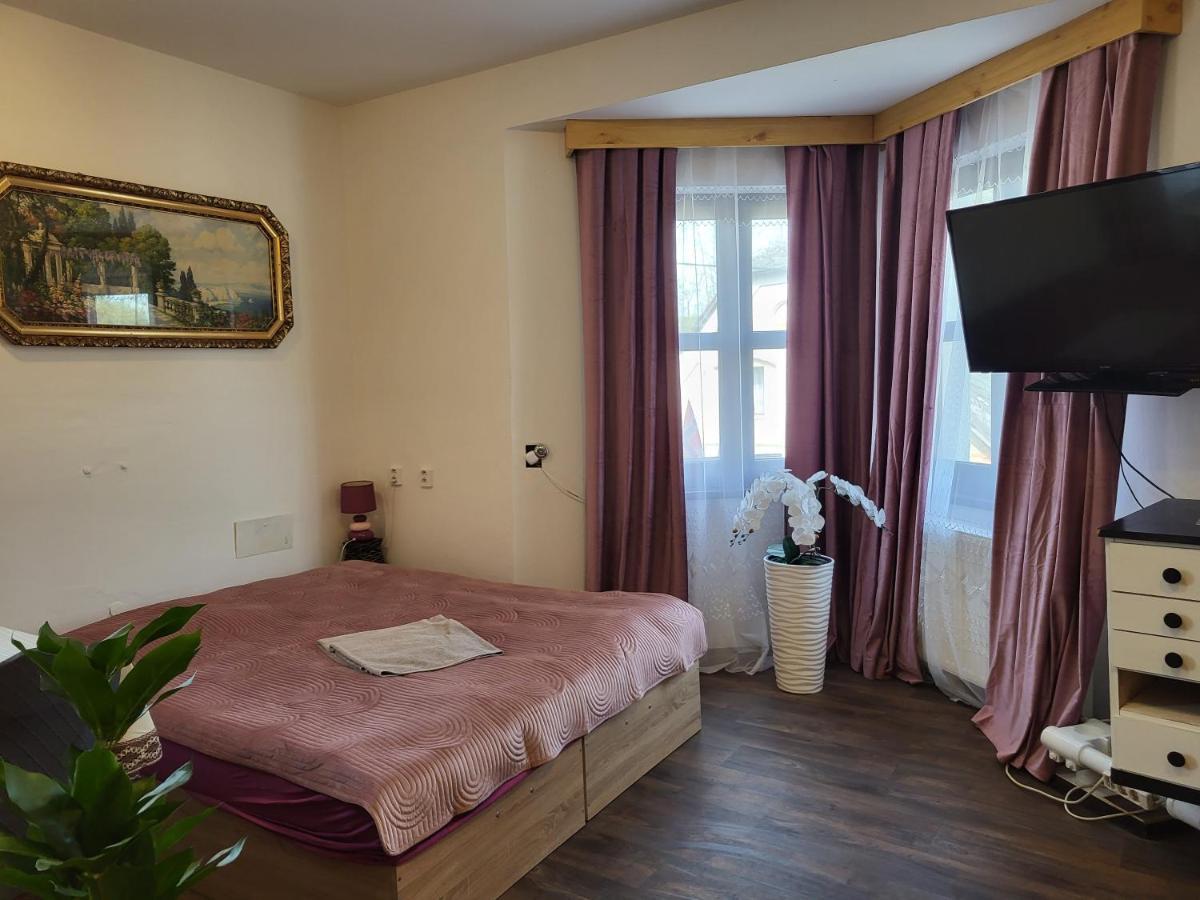 Pension Doctor Dvůr Králové nad Labem 部屋 写真
