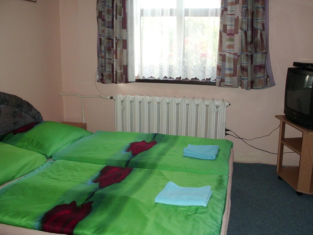Pension Doctor Dvůr Králové nad Labem 部屋 写真