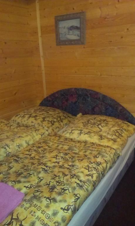 Pension Doctor Dvůr Králové nad Labem 部屋 写真