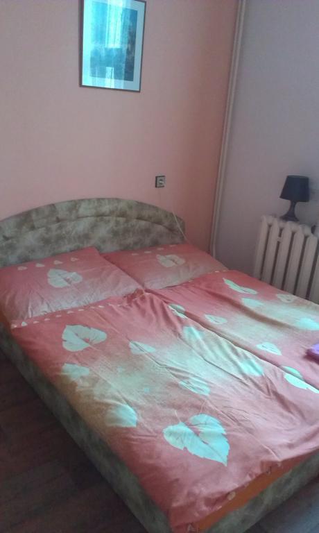 Pension Doctor Dvůr Králové nad Labem 部屋 写真